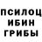 Галлюциногенные грибы Psilocybine cubensis Bright Hopes