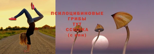 спиды Алексин