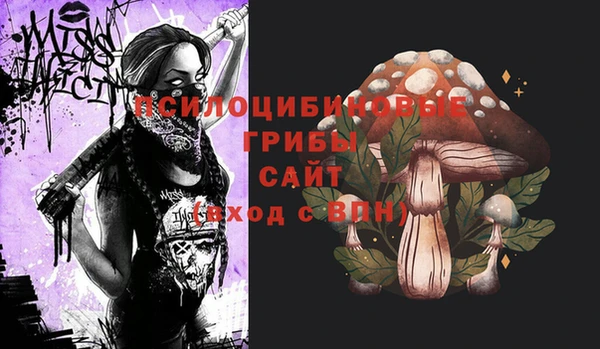 spice Алзамай